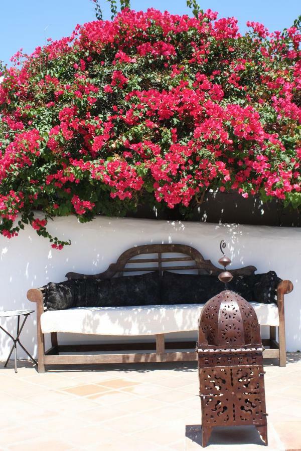 Boutique Bed & Breakfast Casa Utopia Alcaucín Εξωτερικό φωτογραφία